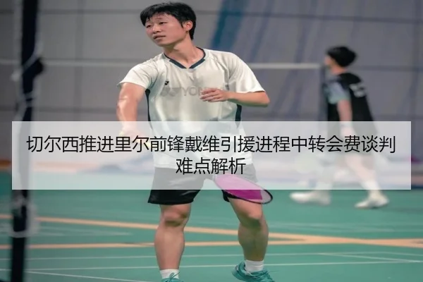 切尔西推进里尔前锋戴维引援进程中转会费谈判难点解析
